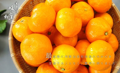 味皇 4