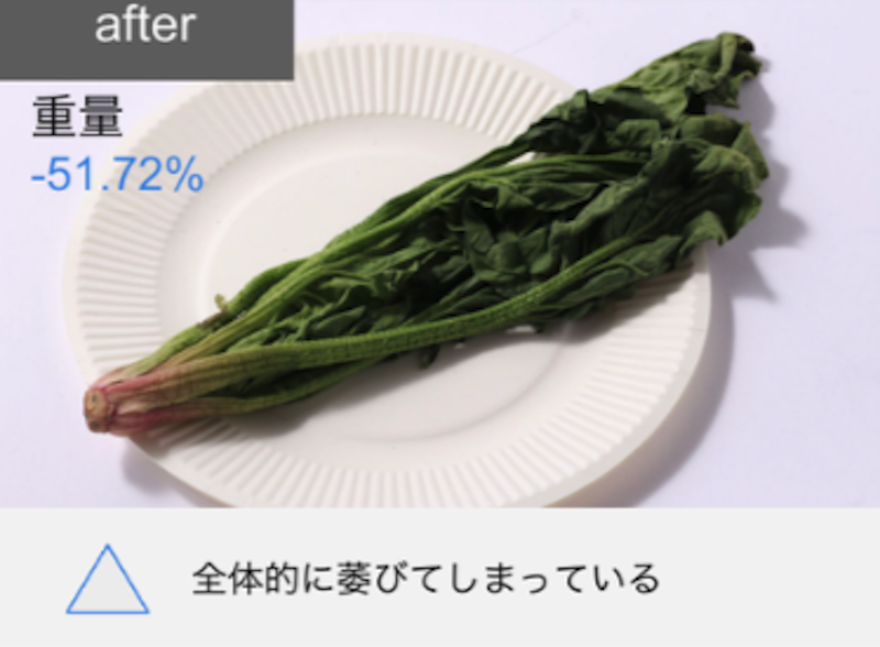 冷凍冷蔵庫 19