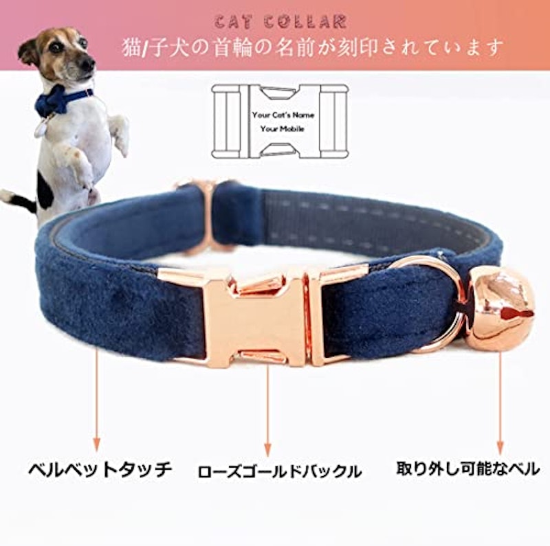 猫用首輪 2