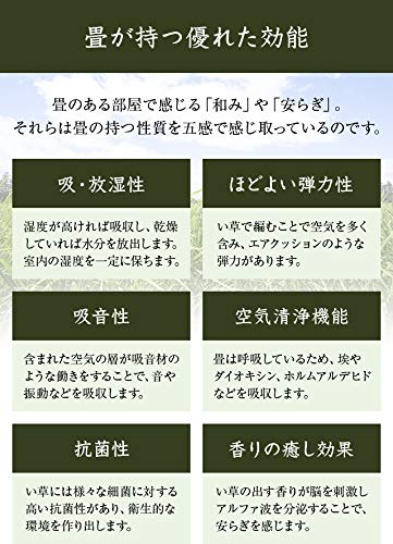 伊吹 2