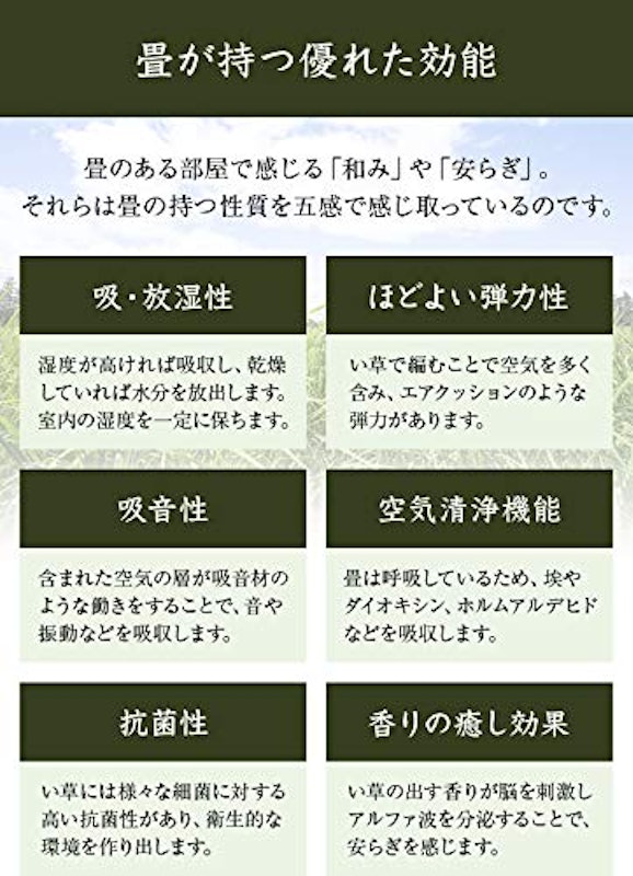 伊吹 2