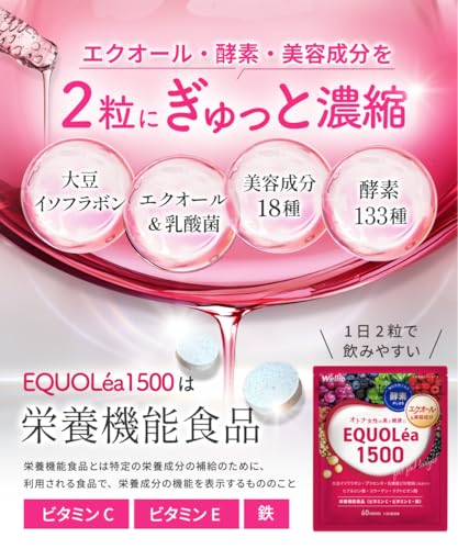 エクオレア1500 7