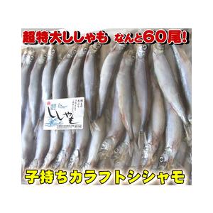 ドラゴンボール - ししゃもさん　専用 ししゃも様専用 ドラゴンボール - ししゃも様専用(°᷄൧°᷅