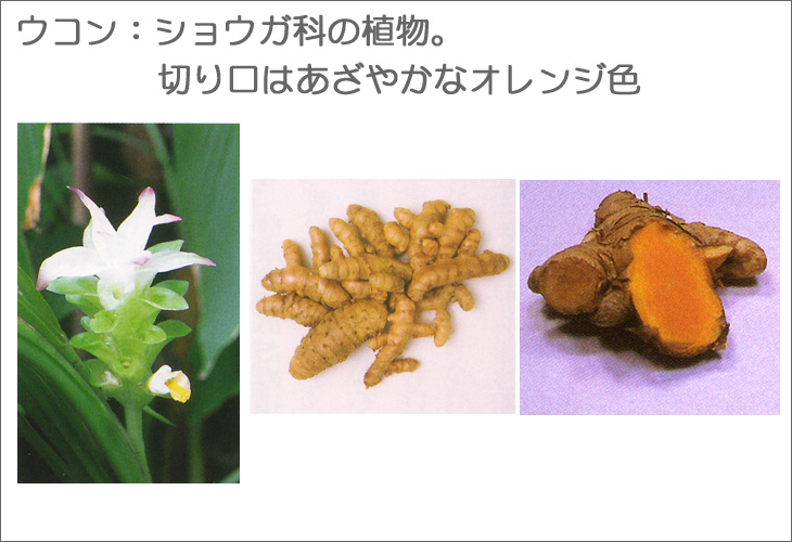 発酵ウコン茶 5