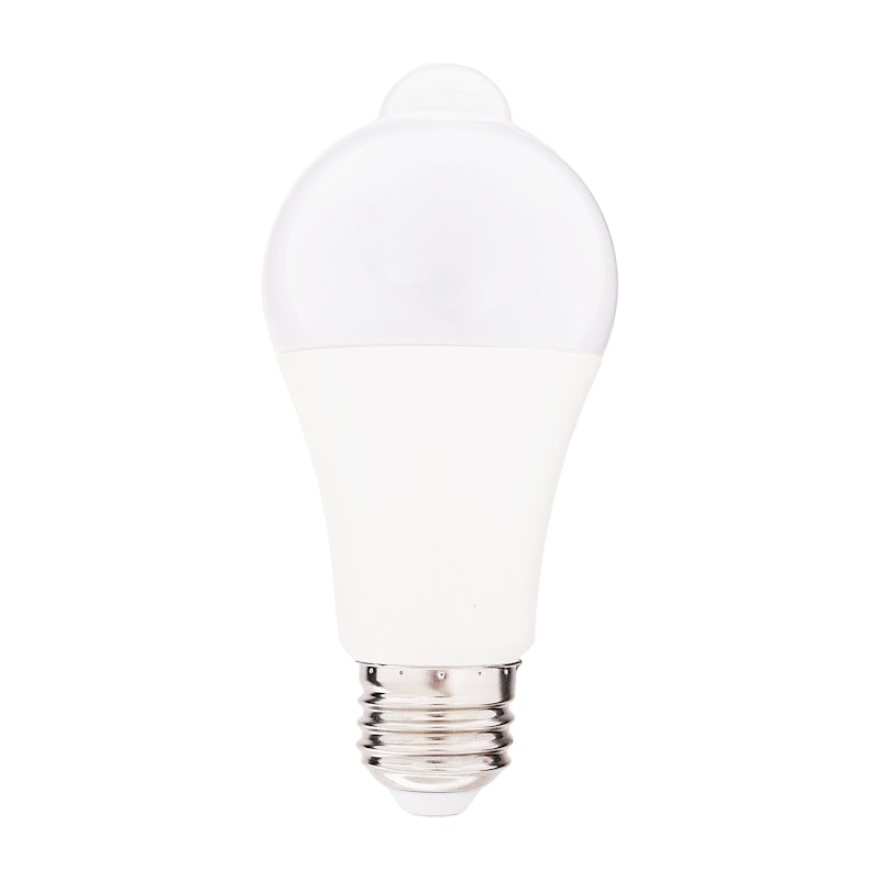 LED電球 1