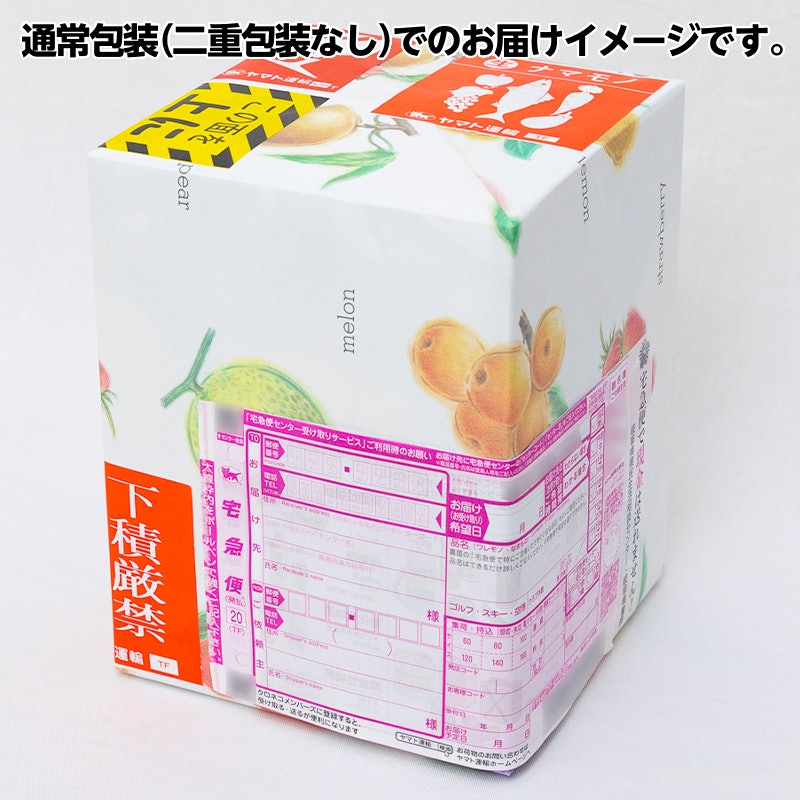 高級マスクメロン 4