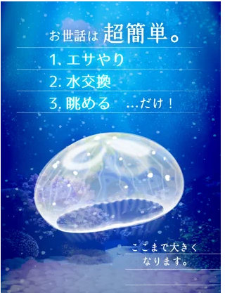 癒しのクラゲ育成ゲーム 3