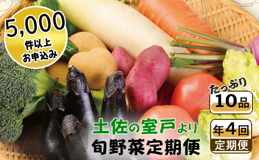 季節のお野菜詰め合わせセット 定期便 春夏秋冬年4回 1