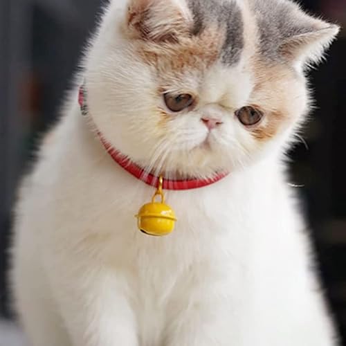 猫用首輪 3
