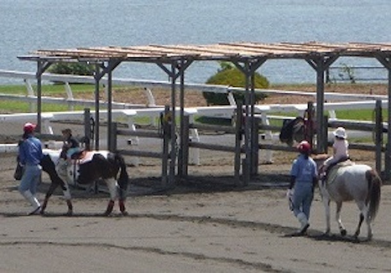 篠崎ポニーランド 1