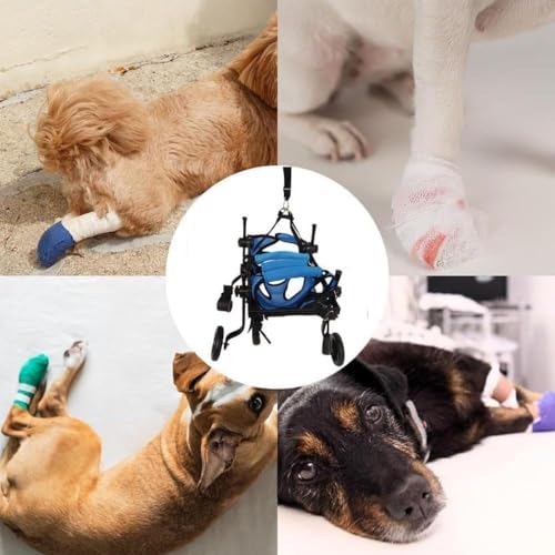 犬用車椅子のおすすめ人気ランキング【2025年】 | マイベスト