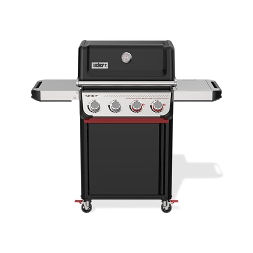E-425 Gas Grill 1