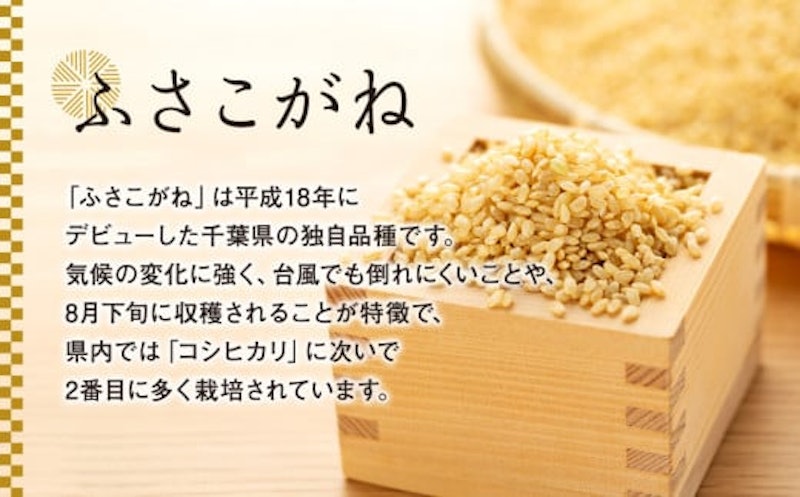 令和7年産ふさこがね 玄米 2