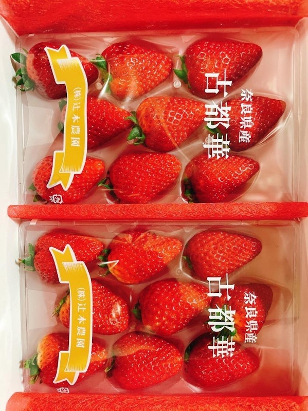 古都華 1