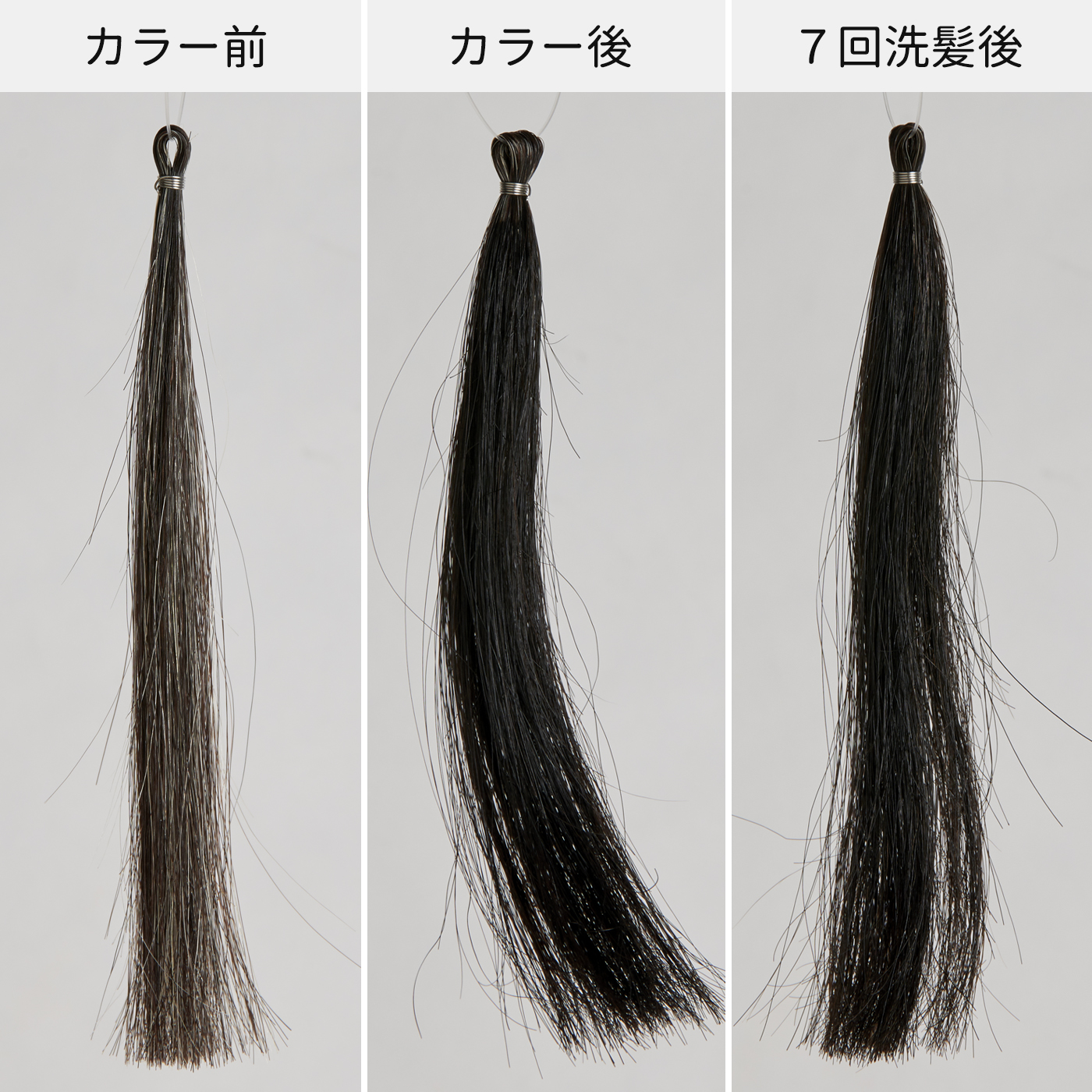 資生堂 ベネフィーク ヘアカラー 6Nをレビュー！クチコミ・評判をもと