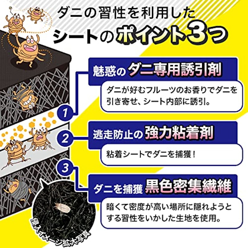 ダニーノ 6