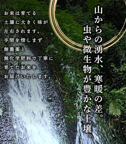 ヒノヒカリ 4