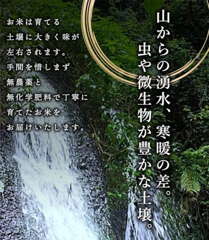 ヒノヒカリ 4