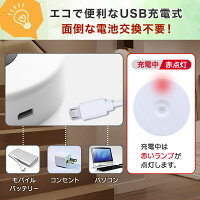 センサーライト 4