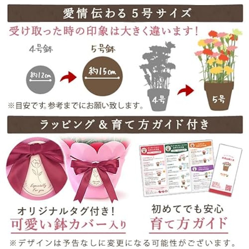 カーネーション ミニバウムクーヘンセット 5