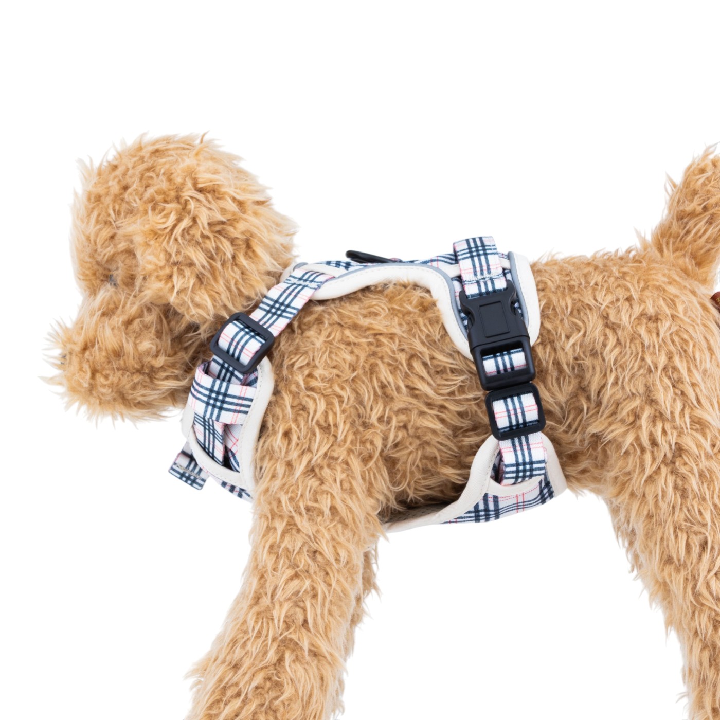 犬用ハーネス 5