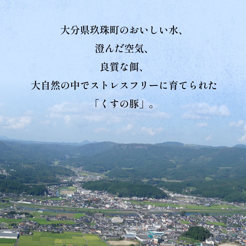 【訳あり】くすの豚 2kg 3