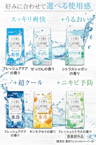 フェイシャルペーパー アイスタイプ 6