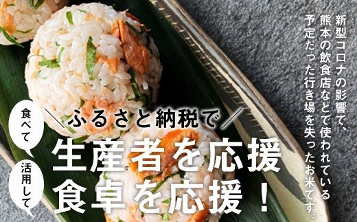 ふるさと納税 大山しらゆき米 kg コシヒカリ 玄米