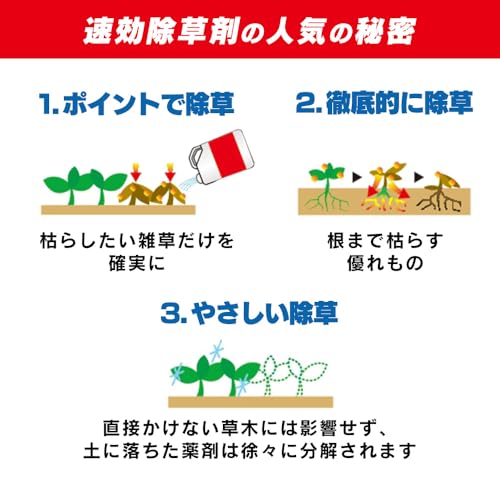 速効除草剤 3