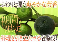 青柚子 2