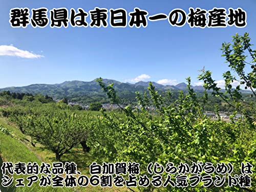 国産かりんこ梅 3