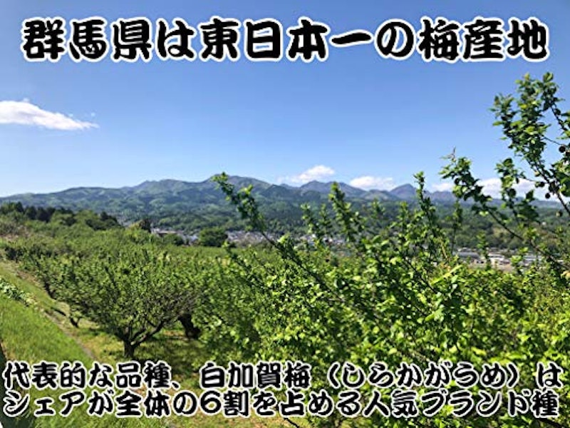 国産かりんこ梅 3
