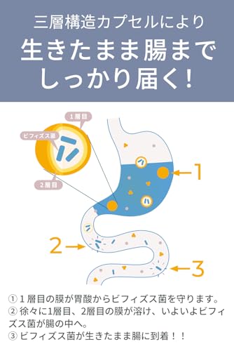 ビフィドフローラ 7