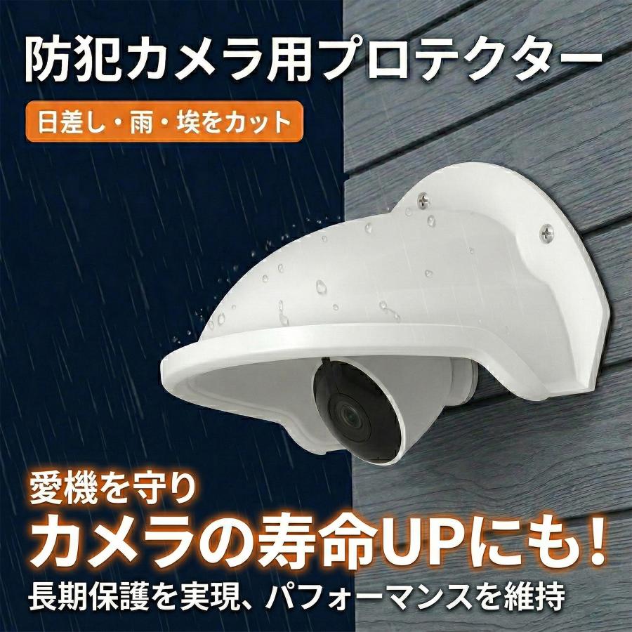 防犯カメラ用プロテクター 1