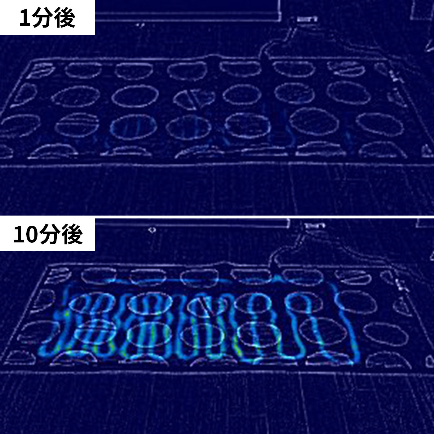 Premium Boa 電気毛布 5