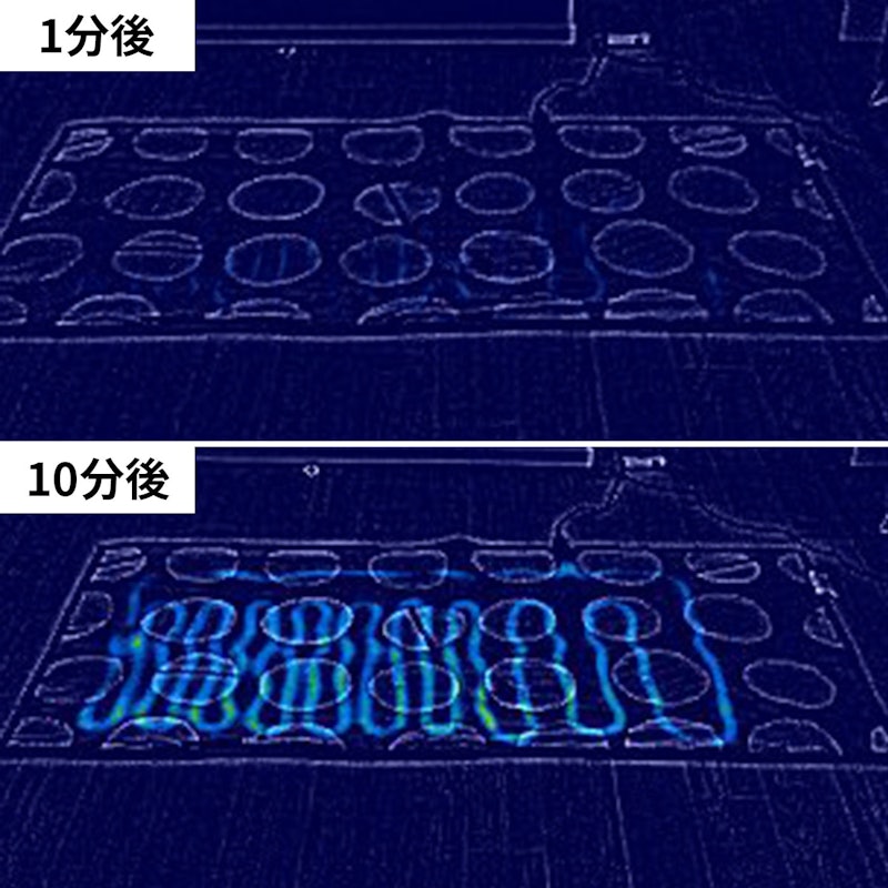 Premium Boa 電気毛布 5