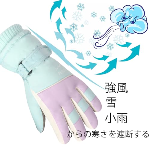スキーグローブ 3