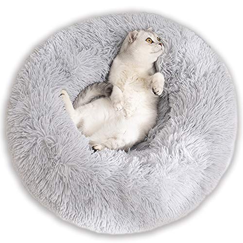 22年 猫用ハウス ベッドのおすすめ人気ランキング選 Mybest