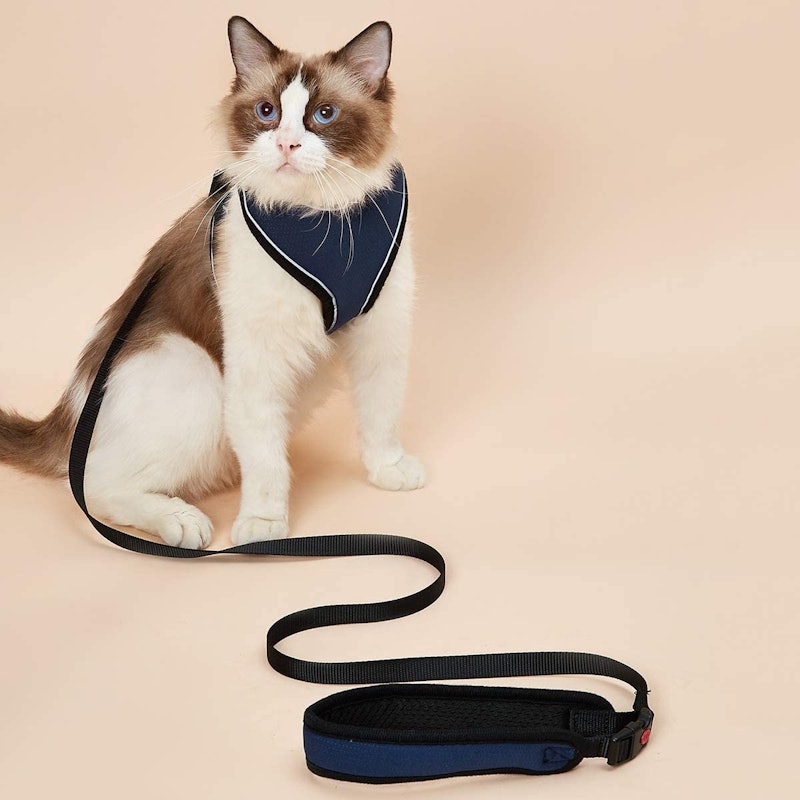 22年 猫用ハーネスのおすすめ人気ランキング25選 Mybest 22年 猫用ハーネスのおすすめ人気ランキング25選 Mybest