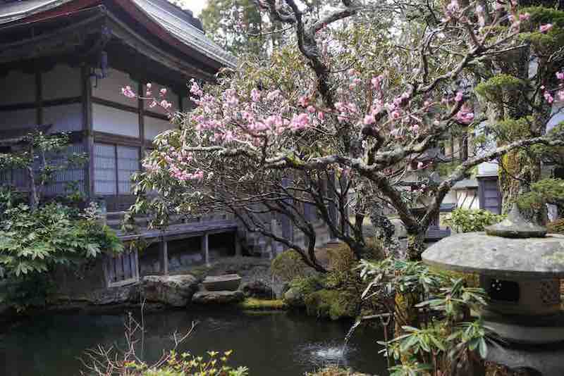 西禅院 2