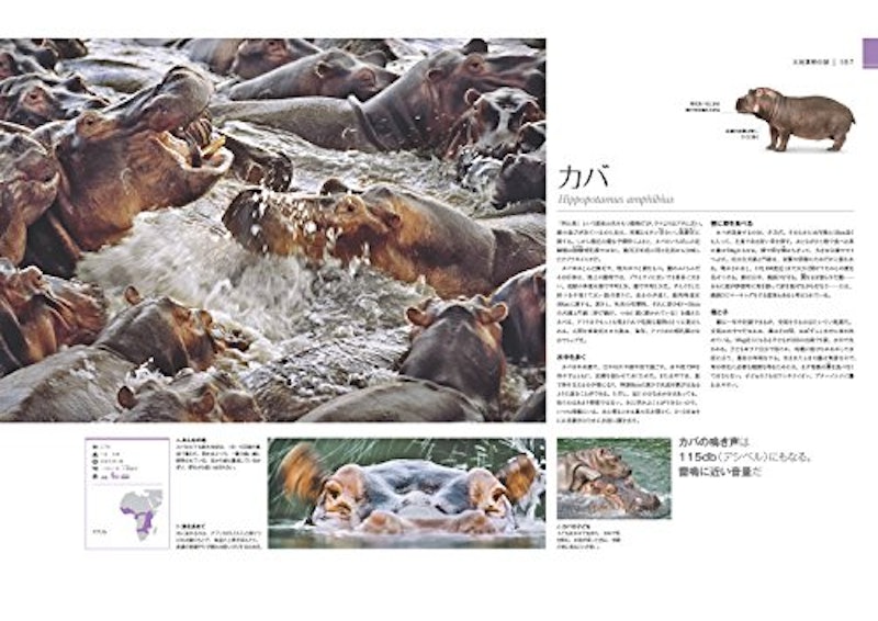 驚くべき世界の野生動物生態図鑑 7
