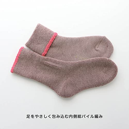 ハマグリパイル　ホームカバー 3