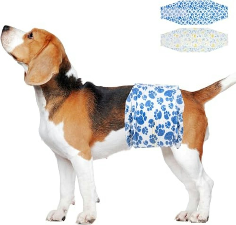 犬用おむつ 1