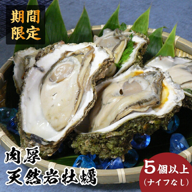 秋田の肉厚な天然岩牡蠣 1