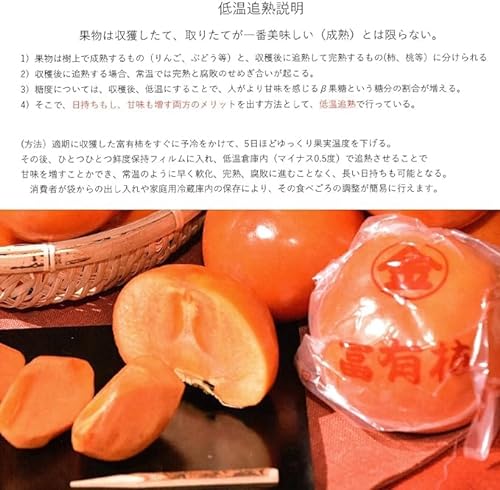 太田丸金 富有柿 6