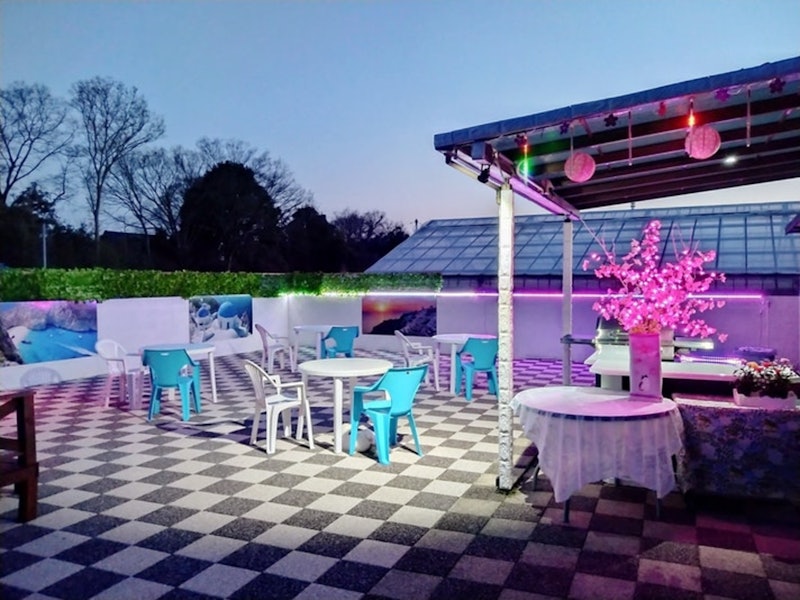 Cat Villa Pool side BBQ 1
