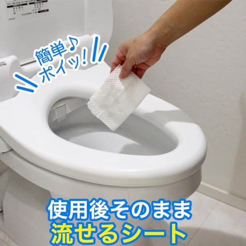 流せる除菌トイレクリーナー 5