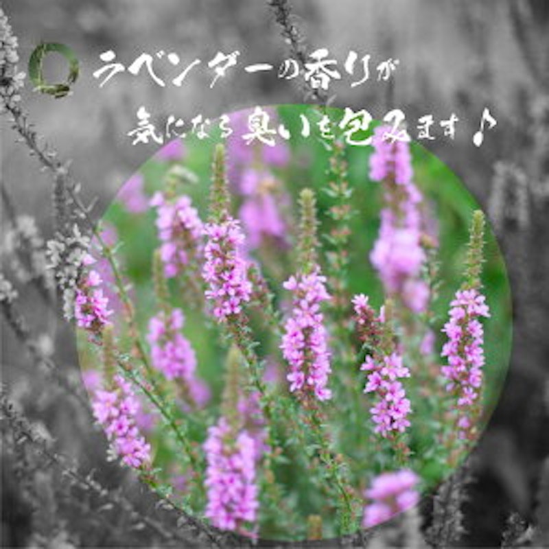 男のたしなみ 3