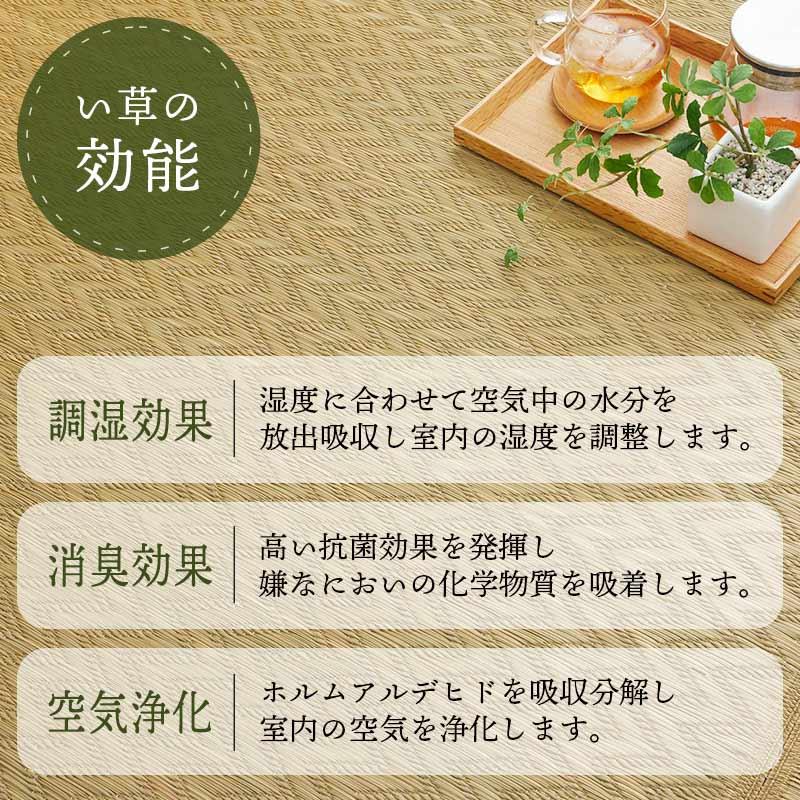 い草ラグ 伽羅木 3