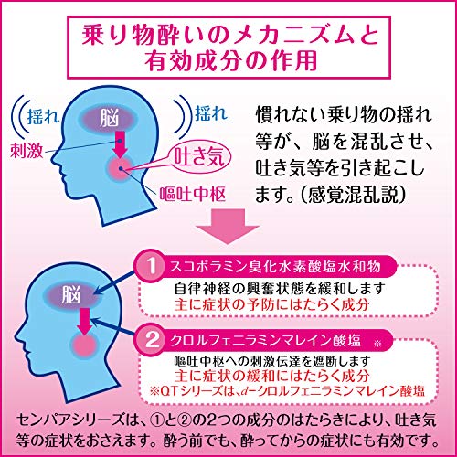 センパアQT ジュニア 2